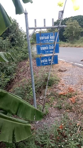 ทรัพย์รับตรุษจีนเฮงๆรวยๆเสนอ ขาย จ.สิงห์บุรี  วิถีไทยอยู่อย่างไทย  ตำบลโพทะเล วิถีไทย 262 วา ต.โพทะเล อ.ค่ายบางระจัน สิงห์บุรี 500000บาท