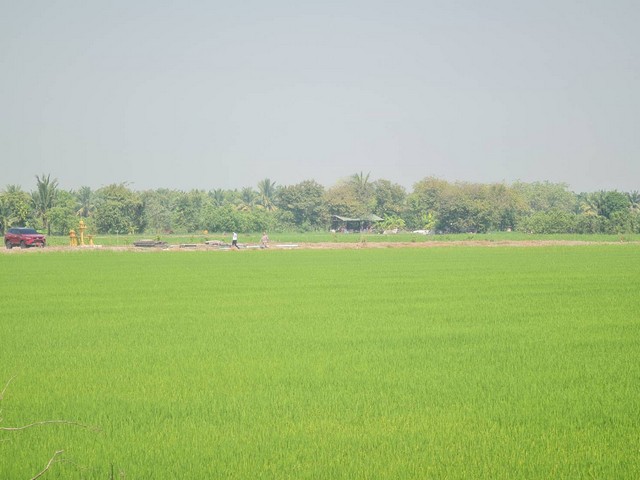 ทรัพย์รับตรุษจีนเฮงๆรวยๆเสนอ  ขาย ลาดหลุมแก้ว  คมนาคมสะดวกสบาย เหมะปลูกบ้านทำการเกษตรดินดีวิวสวย บ่อเงินปุทม ใกล้แหล่งน้ำเหมาะทำเกษตร  ใกล้ชุมชน 5ไร่  อำเภอลาดหลุมแก้ว ปทุมธานี ลาดหลุมแก้วไร่ละ 1ลบ. โทร 083-7124115