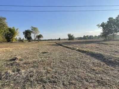 ที่ดินแปลงใหญ่ ทำเลอนาคต หนองคาย