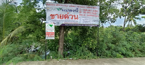 ขายที่ดิน 1-3-0 ไร่ ติดถนนสองด้าน หน้ากว้าง 50 เมตร ลึก 52 เมตร สภาพแวดล้อมดี อยู่ในซ.เพชรหึงษ์ 23/3 ใกล้ตัวเมือง เหมาะสร้างที่อยุ่อาศัย