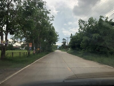 รีบหาที่ทางทำเกษตรพอเพียง  ขายที่แปลงสวยติดติดทางหลวง1107 จ.ตาก  