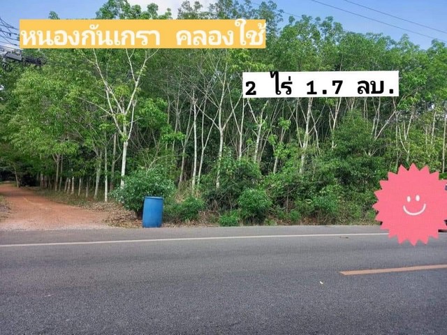 แบ่งขายสวนยาง 2 ไร่ หน้ากว้างประมาณ 30 เมตรตำบลทางเกวียน  อำเภอแกลง  จังหวัดระยอง