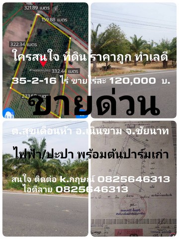 ขายที่ดิน ราคาโครตถูก หน้าติดถนนสาธารณะ ลาดยาง อ.เนินขาม จ.ชัยนาท จำนวน 35-2-16 ตรว