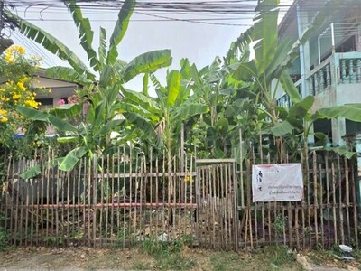 ที่ดินเปล่า 41 ตร.ว. ซอยอ่อนนุช 74 - สุขุมวิท 77 ทำเลดี ราคาถูก