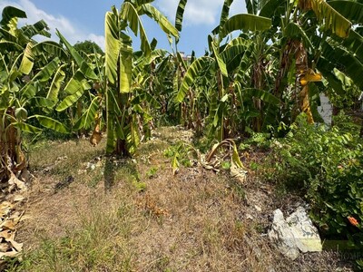 ขายที่ดินแปลงมุม 130 ตรว ติดถนน 2 ด้าน ประชาชื่น 28