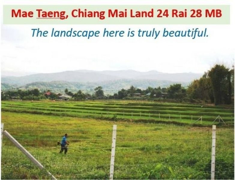 พื้นที่ดิน แม่แตง เชียงใหม่ 28000000 -  9773 SQ.WA ใกล้ วัดหนองก๋าย ราคาพิเศษ!