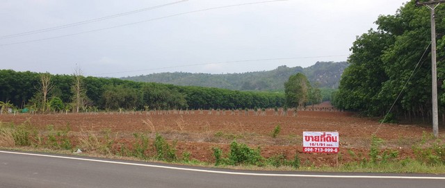ขายที่ดินอำเภอไทรโยค วิวภูเขา  เป็นโฉนดครุฑแดงอ.ไทรโยค จ.กาญจนบุรี เนื้อที่ 16 ไร่ 191 ตรว. 