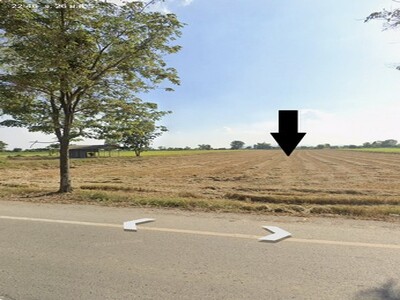 ขายที่ดิน ติดถนน อำเภอบึงสามัคคี จังหวัดกำแพงเพชร 