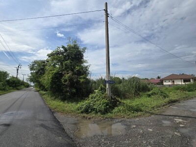 ขายที่ดินเปล่าติดถนน 2 ด้าน ลาดกระบัง ใกล้สุวรรณภูมิ พื้นที่ 1-2-