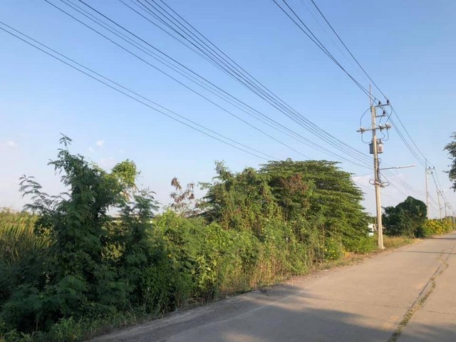 ที่ดินพร้อมขายอำเภอลาดหลุมแก้ว  ใกล้ชุมชน 5ไร่  อำเภอลาดหลุมแก้ว ปทุมธานี ลาดหลุมแก้วไร่ละ 1ลบ. โทร 083-7124115