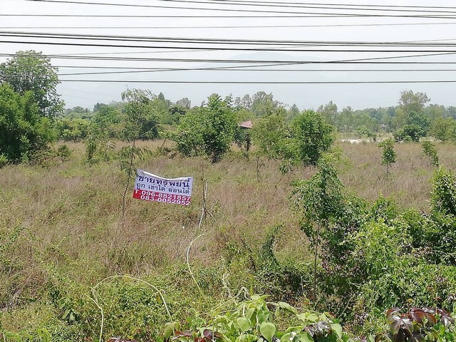 ที่สวยพร้อมขายติดสายเอเซียเมืองบ้านตากจังหวัดตาก  3-1-40 ไร่ ติดถนนเอเซีย AH1 ติดถนนพหลโยธินไร่ 3ลบ. โทร096-8821857