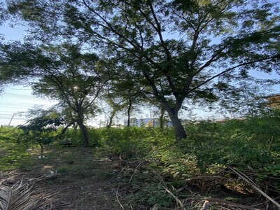 ขายที่ดินติดถนน4เลนด้านหลังติดคลองนราภิรมย์399.7 ตร.ว.ย่านนครปฐมศ