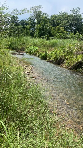 ทรัพย์ดีเด่นน่าสนใจ ขาย ที่ดิน ขายที่ดินติดลำธาร ฉ่ำชุ่มใจเย็นสบาย 1ลบ. 3-0-35ไร่ โทร 0837124115