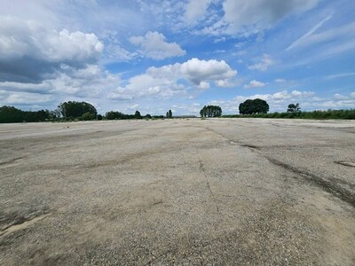 ขายที่ดินลานมันหนองเหียงพนัสนิคม บนพื้นที่ดิน   31   ไร่