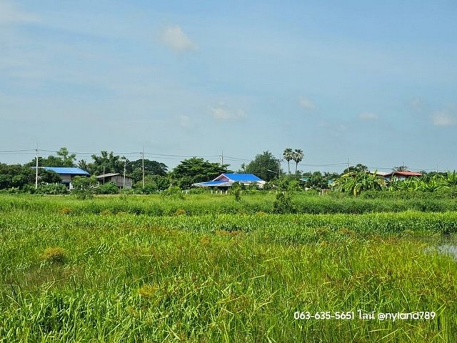 ขายที่ดินสวยวิวเขา ต.ท่าทราย อ.เมืองนครนายก ติดถนน 2 ด้าน เหมาะทำบ้านสวนวัยเกษียน พักผ่อนใกล้ กทม.