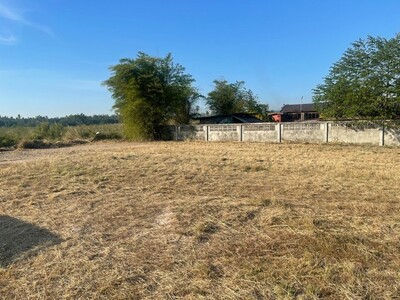 ขายที่ดินสวยหนองขามศรีราชาชลบุรี เนื้อที่ดิน   220  ตารางวา