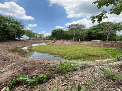 ขายที่ดิน 15-1-58  ไร่ วังน้ำเขียว จ.นครราชสีมา