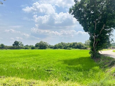 ขายบ้านที่ดินบ้านเซิด แปลงสวย โซนพนัสนิคม ชลบุรี 