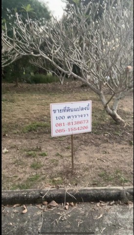 ขายที่ดินโครงการวิภาวรรณ ตำบลสันป่าเปา อำเภอสันทราย จังหวัดเชียงใหม่