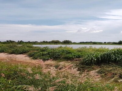 ขายที่บ่อปลา ติดคลอง 9 ไร่ ติดถนน ต.ท่าข้าม อ.พนัสนิคม จ.ชลบุรี