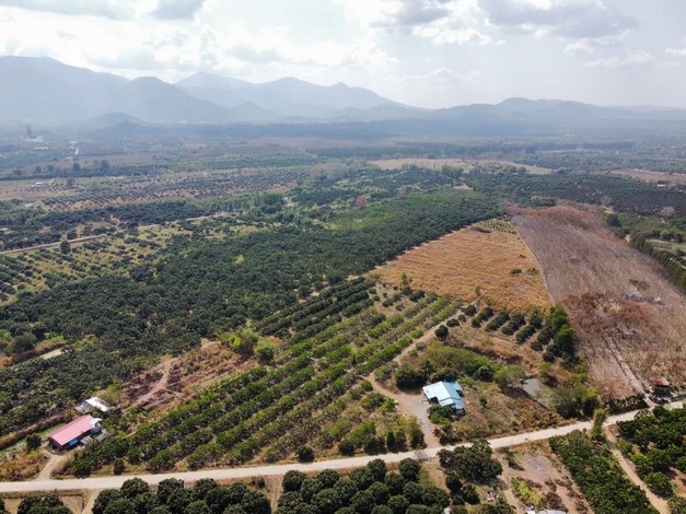 ขายที่ดินสวนลำไยพร้อมบ้านพักหลังใหญ่ บรรยากาศดี ทำเลดี ติดถนน จ.จันทบุรี