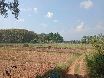 ใกล้ปีใหม่ดูทรัพย์มีมูลค่า  ขายที่ติดน้ำโขง ต.กุดบง โพนพิสัย หนอง ใกล้ปีใหม่ดูทรัพย์มีมูลค่า  ขายที่ติดน้ำโขง ต.กุดบง โพนพิสัย หนอง