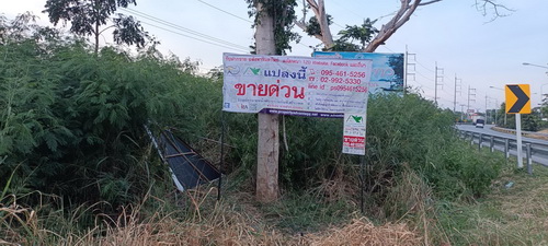 ขายที่ดินเปล่า 7 โฉนดรวม เนื้อที่ 77-3-87.2 ไร่ ติดถนนหลักเพชรเกษมหมายเลข 4 ฝั่งขาขึ้นกรุงเทพมหานคร ต.บ่อนอก อ.เมือง จ.ประจวบคีรีขันธ์ 