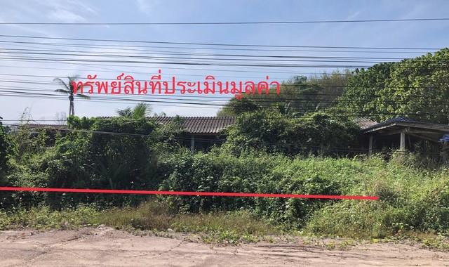 ขายบ้านเดี่ยวใกล้ ตลาดนัดหน้าวัด อำเภอพนม จังหวัดสุราษฎร์ธานี PKK02-13436