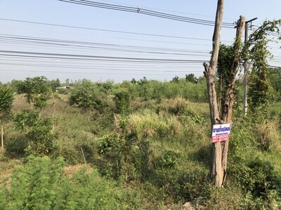 ทรัพย์คุ้มใช้ประโยชน์ ขายที่่สวยติดถนนพหลโยธิน AH1 บ้านตาก จ. ตาก