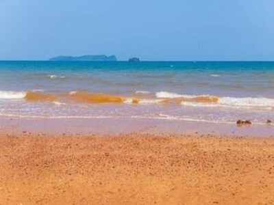 หาซื้อทรัพย์คุ้มใช้ประโยชน์  ที่ติดทะเลฝั่งแดงSeaview สวยมาก