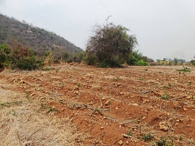 หาซื้อทรัพย์คุ้มใช้ประโยชน์ ขาย/เช่า ที่ติดภูเขาเมืองนครสวรรค์ 