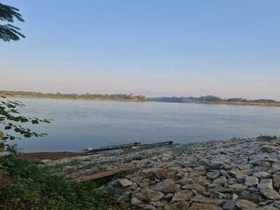 หาซื้อทรัพย์คุ้มใช้ประโยชน์  ขายที่ติดน้ำโขง ต.กุดบง โพนพิสัย หนอ