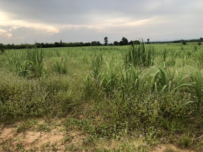 หาซื้อทรัพย์คุ้มใช้ประโยชน์  ที่สวยติดเขา เทือกเขายา ขอนแก่น