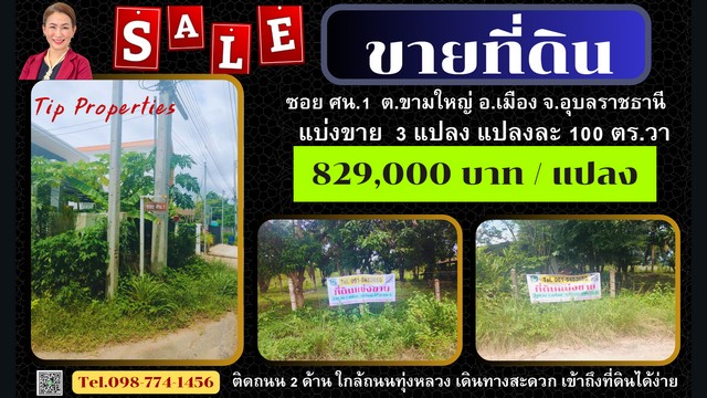 ที่ดินติดถนน 2 ด้าน แบ่งขาย 100 ตร.วา  3 แปลง ซอย ศน.1  ใกล้ รพ.สุขภาพตำบลขามใหญ่ อ.เมือง จ.อุบลฯ