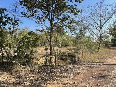 ขายด่วนที่ดินเปล่า เนื้อที่ 12 ไร่ 2 งาน 79 ตร.ว.