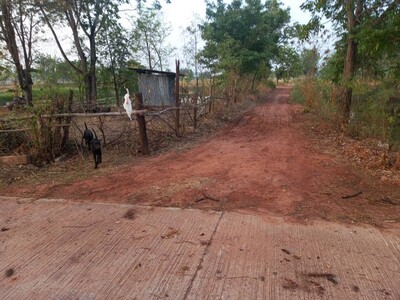 ขายที่ดิน 5-1-60ไร่ 1.1ล.ใกล้ ถ.ชัยภูมิ-บ้านเขว้า อ.เมือง ชัยภูมิ