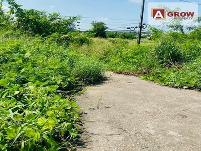 ขายที่ดิน 25-3-61.7 ตารางวา พื้นที่สีม่วง อ.นิคมพัฒนา จ.ระยอง 