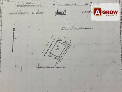 ขายที่ดิน 22-3-67 ตารางวา พื้นที่สีม่วง นิคมพัฒนา ระยอง  