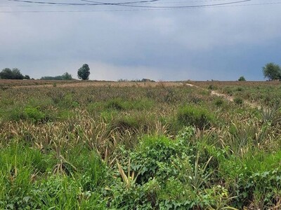 ขายที่ดินนิคมพัฒนา แปลงสวย ทำเลดี ใกล้นิคมอมตะโซนจีน ระยอง