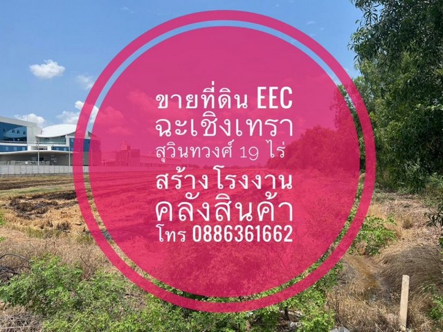 For  Sale Land EEC in Chachoengsao,Thailand ขายที่ดิน EEC ฉะเชิงเทรา  สร้างโรงงาน คลังสินค้าฯ 