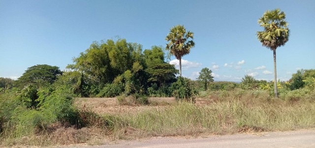 สงกรานต์นี้เล็งที่ทางดีดีสักแปลงนะคะ  ขายที่ติดน้ำโขง ต.กุดบง อ.โพนพิสัย จ.หนองคาย หน้าติดถนนโยธาธิการ  หลังติดแม่น้ำโขง ไร่ละ 2ล้านบาท โทร 096-882-1857