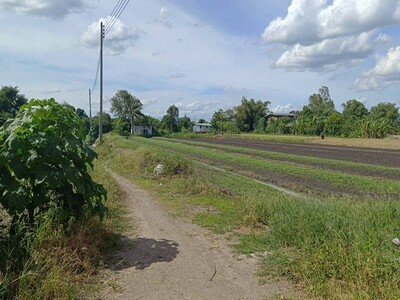 ขาย  ที่ดิน 11-1-76 ตร.ว.. ใกล้ถนนราชพฤกษ์ (9)