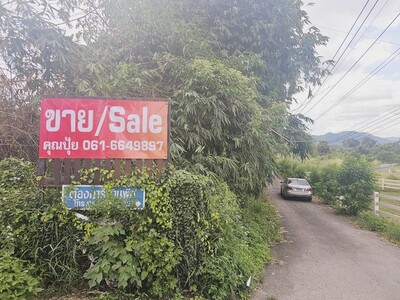 ขายที่เปล่าปากช่อง ห่างถ.มิตรภาพเพียง 600 เมตร