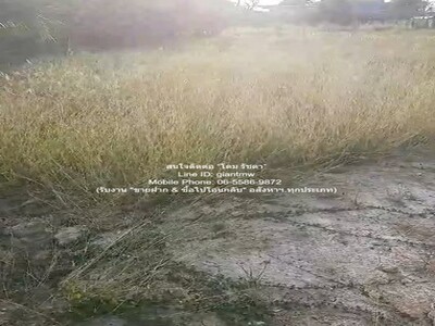 ขายที่ดินเปล่าถมแล้ว 200 ตร.ว. ติดถนนพุทธมณฑลสาย 1 ราคา 30,000,00