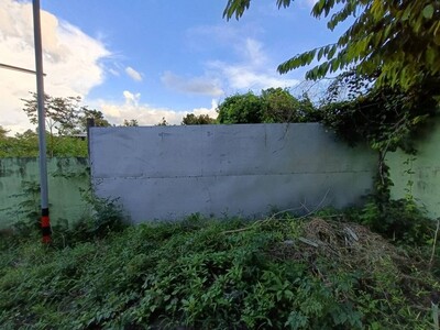 ขาย โกดัง ลำปลายมาศ บุรีรัมย์