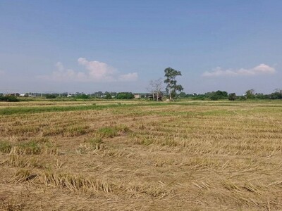 ขายที่ดินแปลงสวย ทำเลดี เขตบึง ศรีราชา ชลบุรี