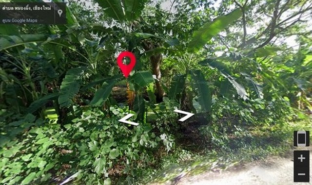 ขายที่ดินเปล่า เนื้อที่ 1-1-73 ไร่ อ.สารภี เชียงใหม่ อากาศดีมาก