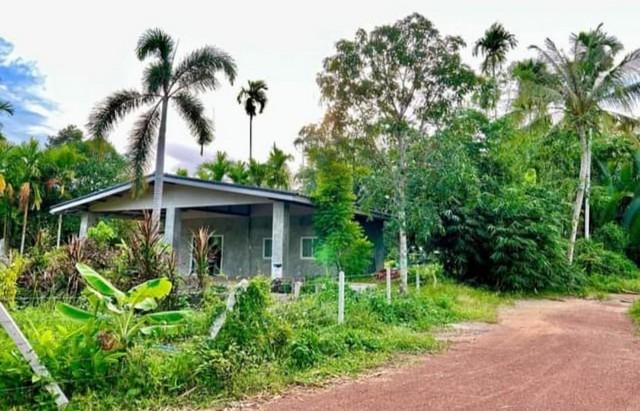 ขายสวนผสมทุเรียนพร้อมบ้านสร้างใหม่สำหรับพักผ่อนวัยเกษียณ บ้านทุ่งควายกิน อ.แกลง จ.ระยอง