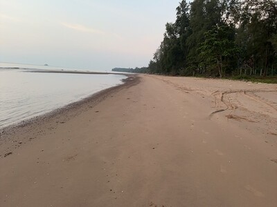 สนใจทรัพย์ราคาเงื่อนไขคุยตรงเจ้าของได้ ที่ดินสวยใกล้หาดฝั่งแดง 2.