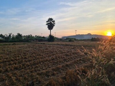 ราคาเงื่อนไขคุยตรงเจ้าของได้  ขายที่ติดน้ำโขง ต.กุดบง โพนพิสัย หน